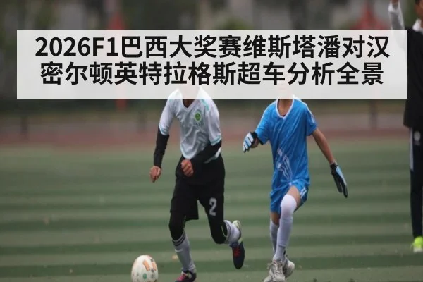 2026F1巴西大奖赛维斯塔潘对汉密尔顿英特拉格斯超车分析全景